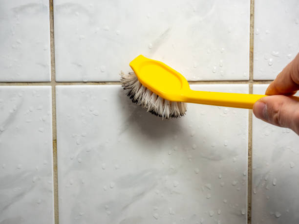 Professional Mold Removal in Poolesville, MD