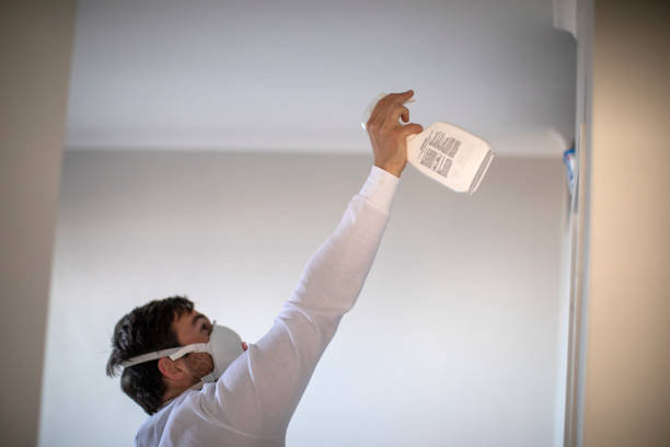 Office Mold Removal Services in Poolesville, MD