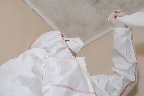 Best Black Mold Removal  in Poolesville, MD