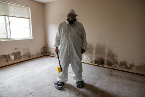 Best Certified Mold Removal  in Poolesville, MD